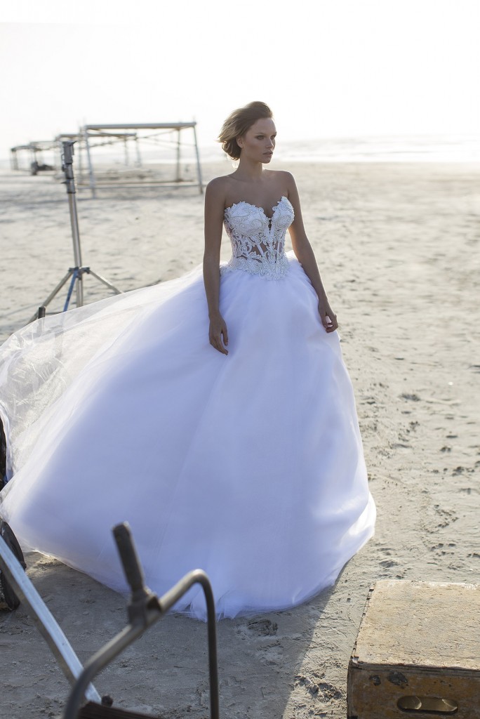 Gorgeous Dream Wedding Dress